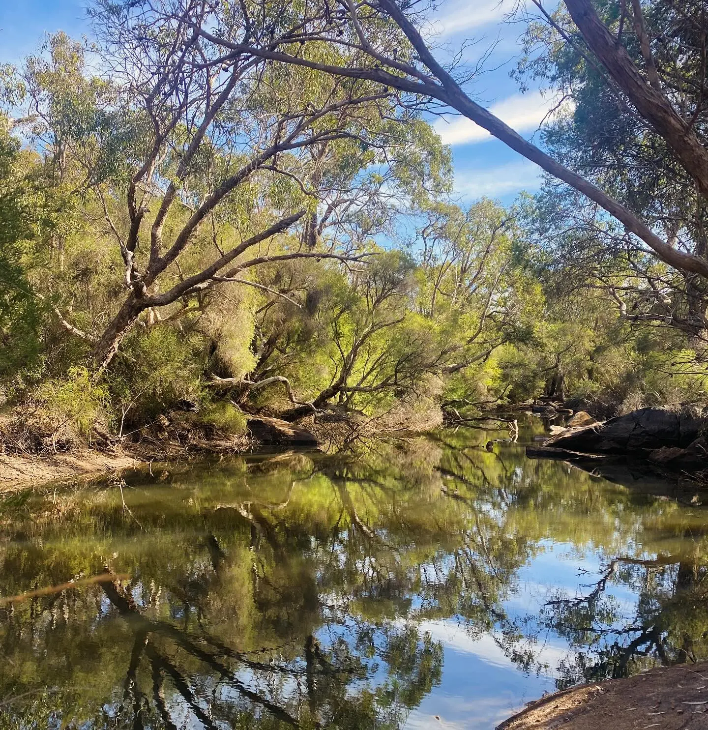 Mandoon Bilya (Helena River) BoorYul-Bah-Bilya