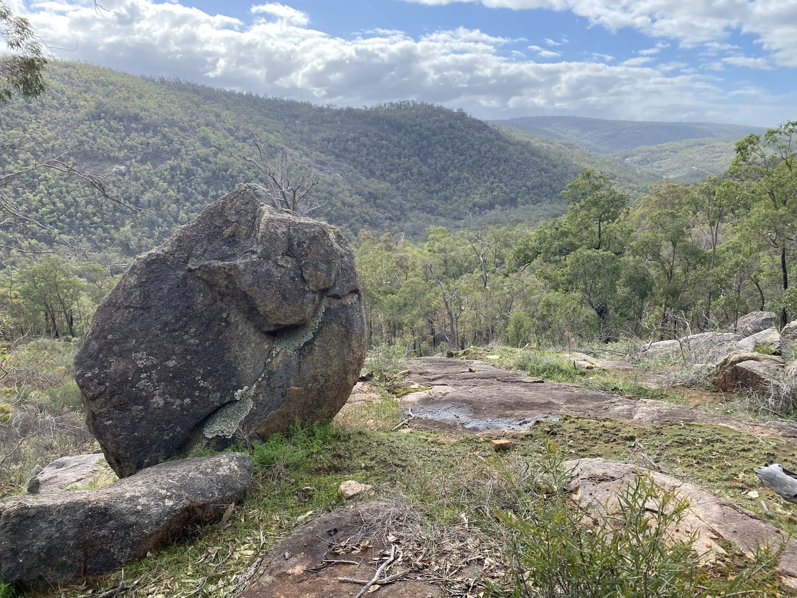Granite boulder overlooking Mandoon Bilya (Helena River) valley - Francesca Flynn