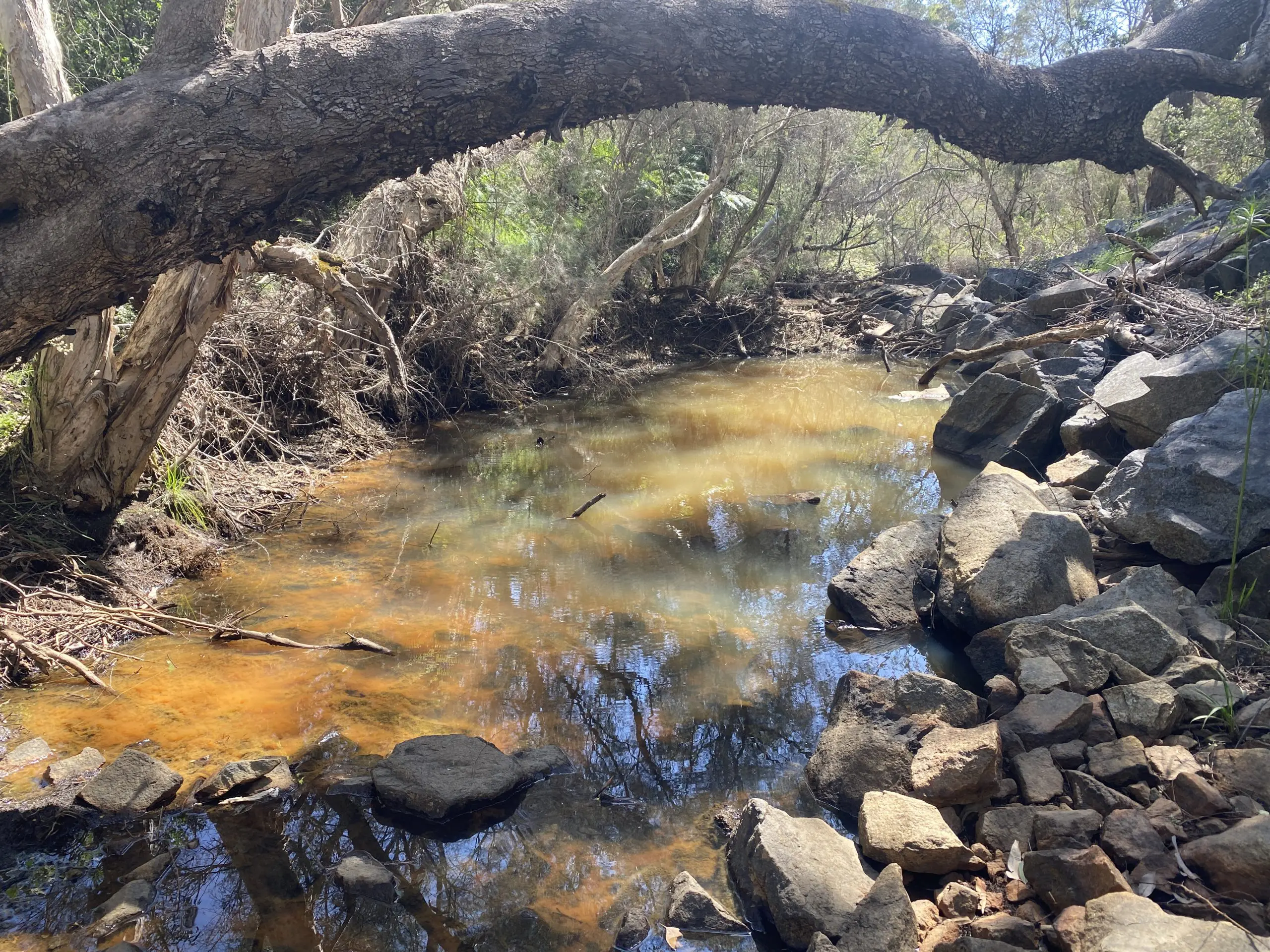 Mandoon Bilya (Helena River) BoorYul-Bah-Bilya