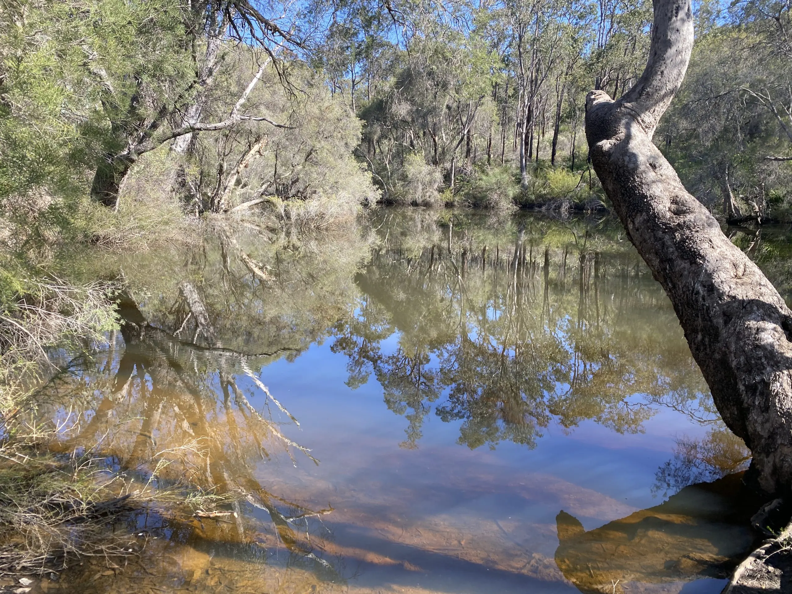 Mandoon Bilya (Helena River) BoorYul-Bah-Bilya