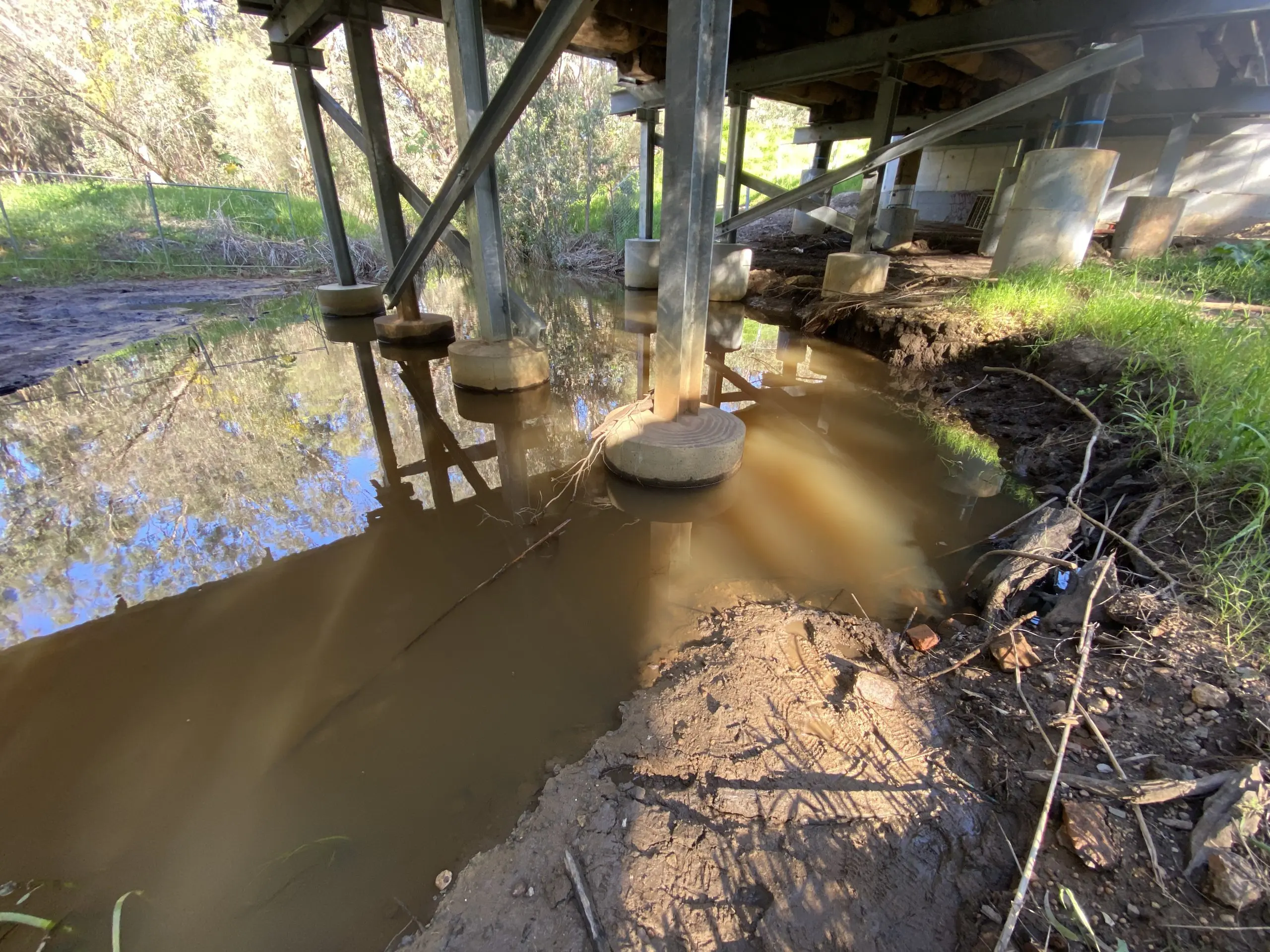 Mandoon Bilya (Helena River) under Military Road bridge - Francesca Flynn