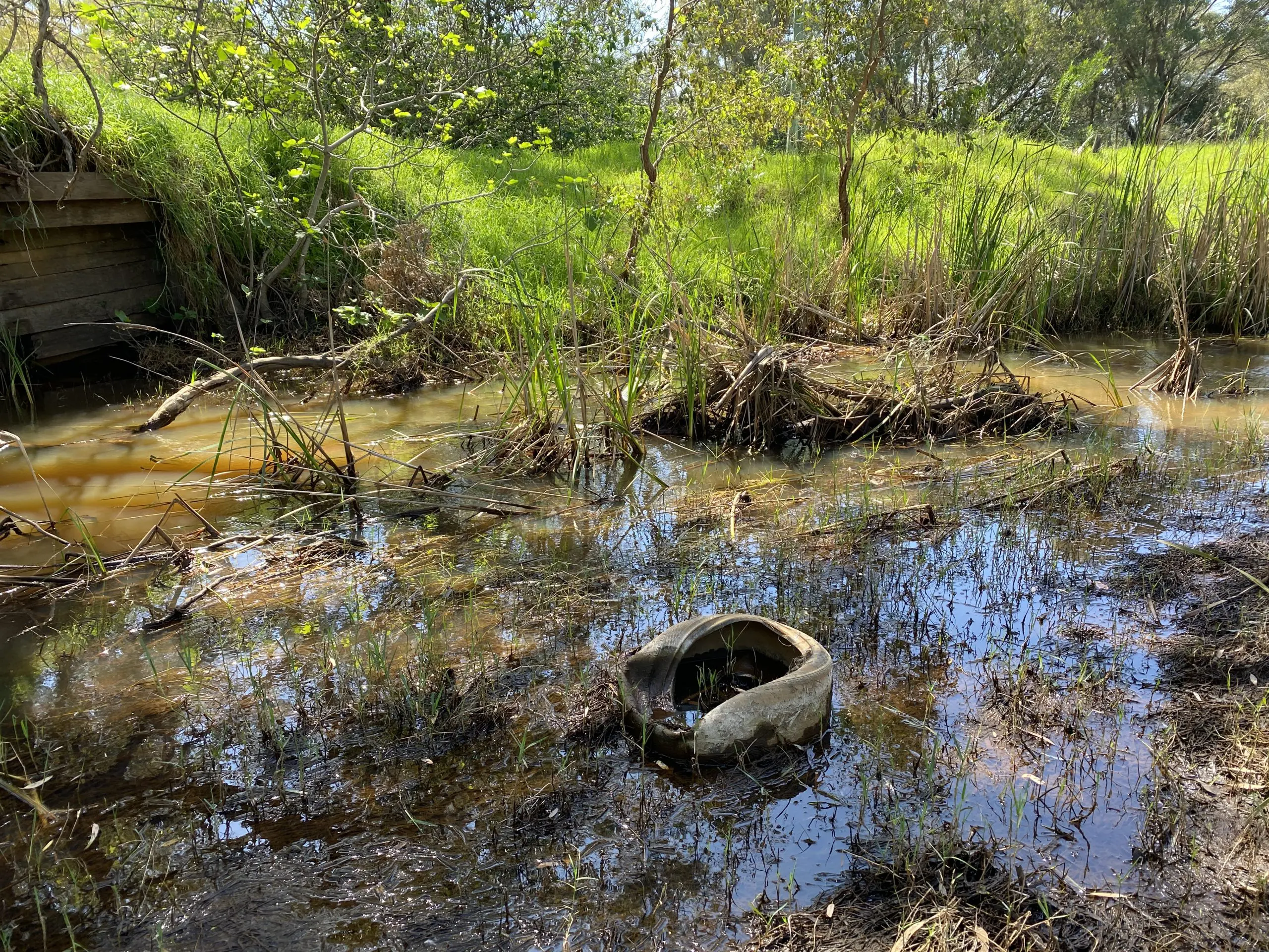 Fly tipping in Mandoon Bilya (Helena River) in Midland - Francesca Flynn